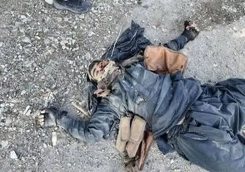 نیروی زمینی سپاه از شهادت بسیجی اهل سنت خبر داد