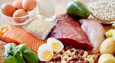 یک پژوهش مهم درخصوص پروتئین مورد نیاز بدن