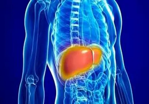 طرز تهیه چای مراکشی خوشمزه و متفاوت
