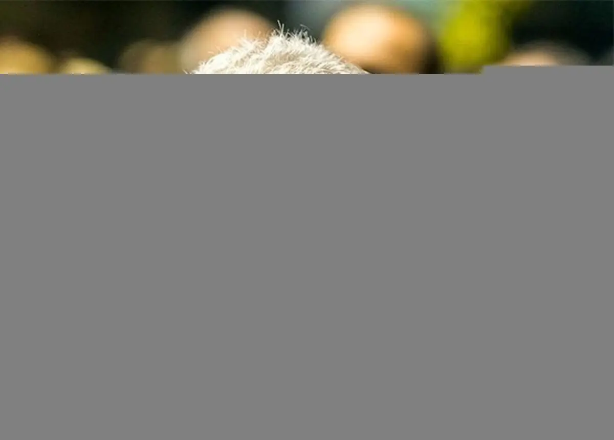 حمایت مهدی هاشمی از علیرضا خمسه برای بازی در فیلم ماندگار بهرام بیضایی+فیلم