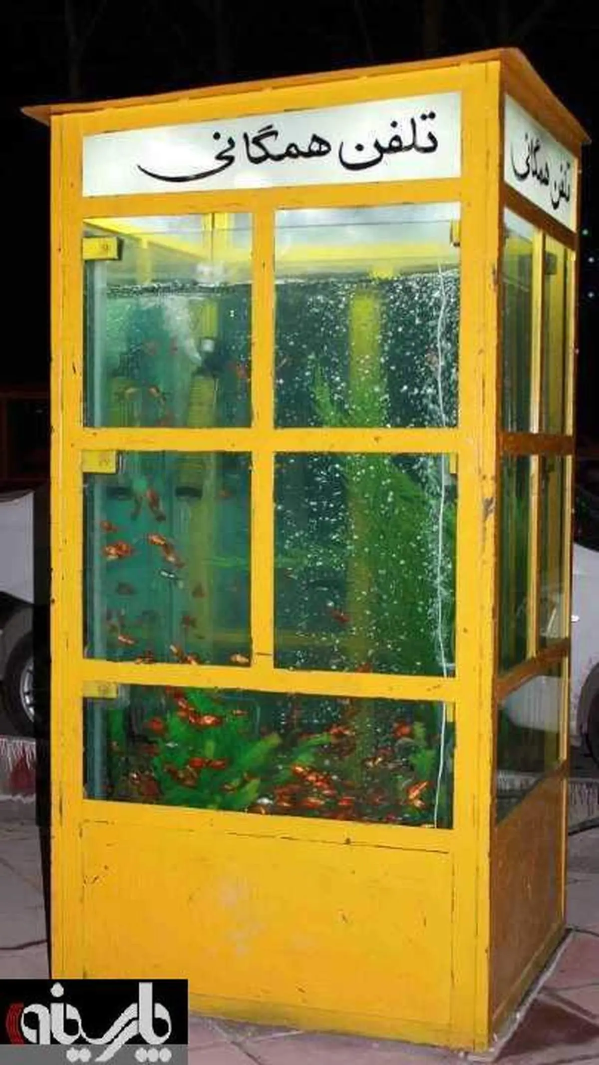 عکس: ابتکار نوروزی شهرداری مشهد/تبدیل باجه تلفن به آکواریوم!