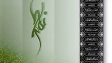 حضرت زهرا س از زبان امیرالمومنین ع