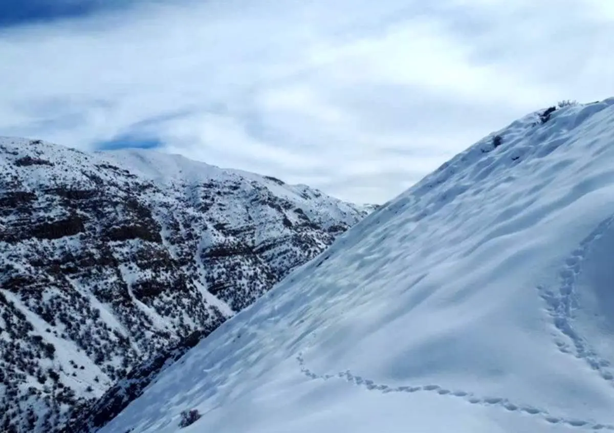 بارش برف و باران در این مناطق از فردا 