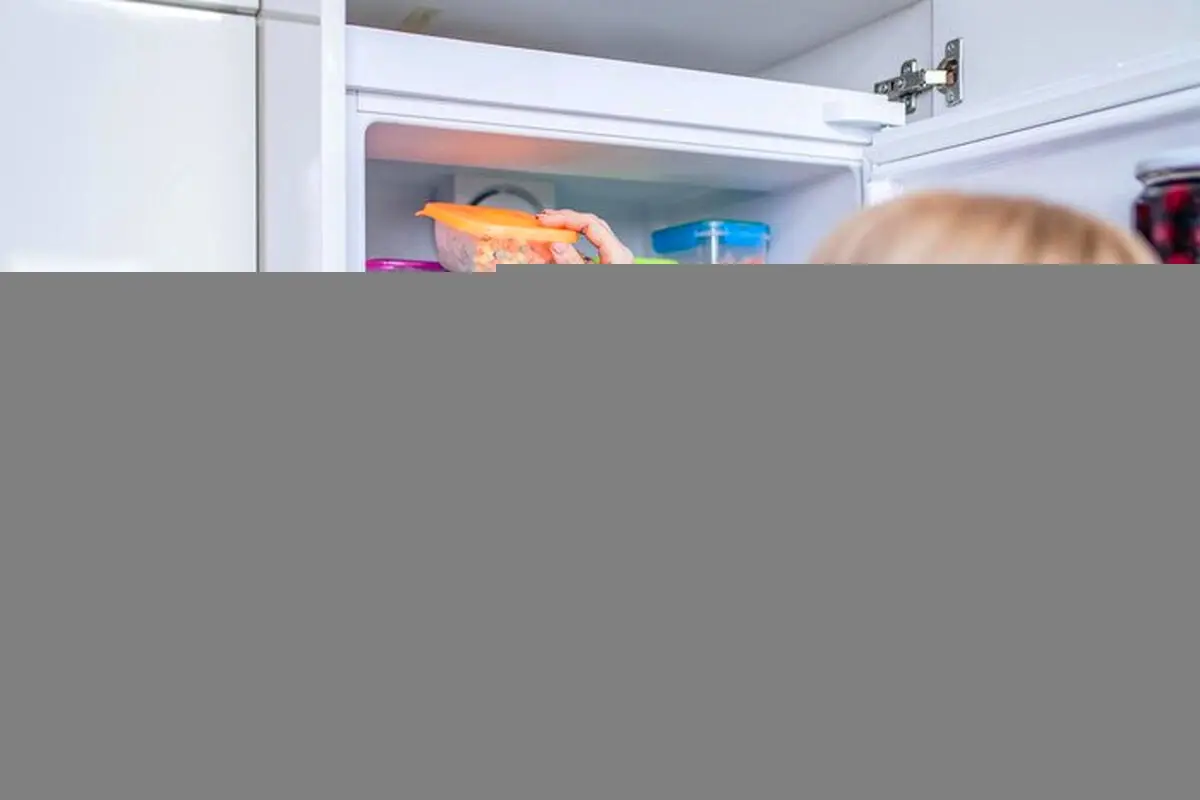 نکات حیاتی برای طول عمر یخچال و فریزر 