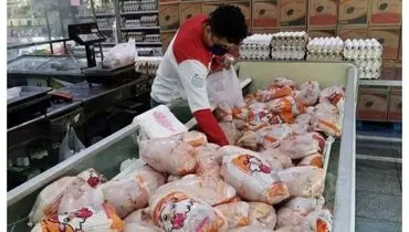 سقوط آزاد قیمت مرغ در بازار 