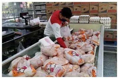 شوک جدید در بازار مرغ خبرساز شد
