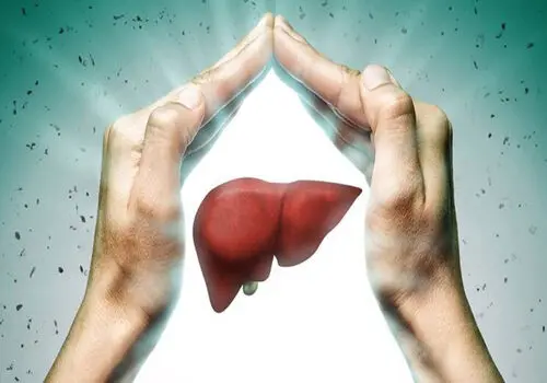 ۱۰ دمنوش عالی برای درمان چربی خون!