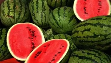 تصویری شگفت انگیز  از بزرگ ترین هندوانه جهان+ فیلم