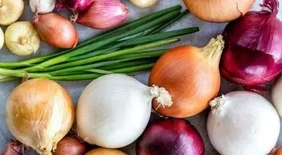 پیاز قرمز یا سفید؛ کدام مفیدتر است؟
