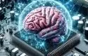 انقلاب علمی؛ ساخت کامپیوتر با سلول‌های مغزی انسان

