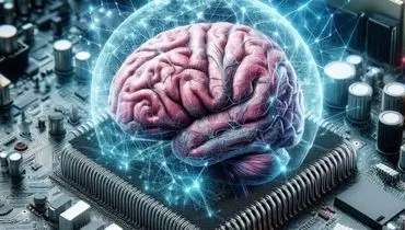 انقلاب علمی؛ ساخت کامپیوتر با سلول‌های مغزی انسان

