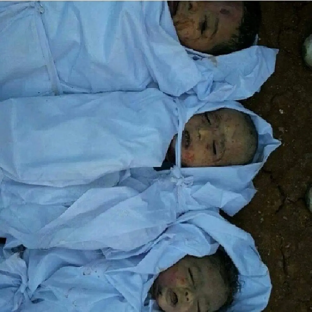 عکس: سوریه / بدون شرح