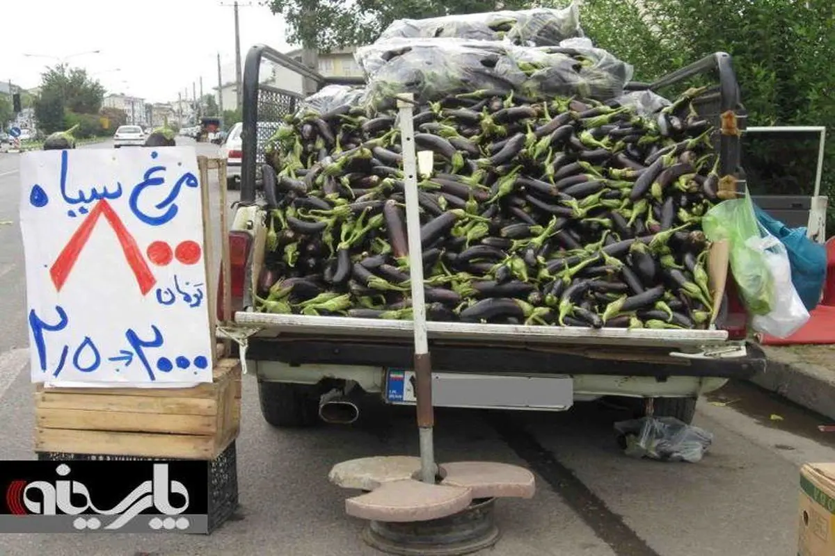 عكس/ حراج مرغ سياه !!