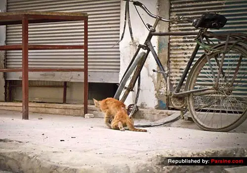 در صورت اصابت ترکش به بدن چه کنیم؟