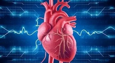 بهترین ورزش‌ها برای بهبود گردش خون/ خواب منظم تضمینی برای سلامت قلب