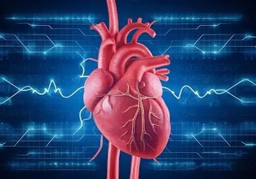از این سه حرکت ورزشی مفید برای قلب غافل نشوید