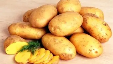 سیب‌زمینی؛ غذای ساده‌ای برای آرامش معده، کنترل قند خون و کمک به کاهش وزن!