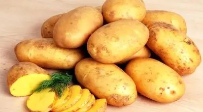 سیب‌زمینی؛ غذای ساده‌ای برای آرامش معده، کنترل قند خون و کمک به کاهش وزن!