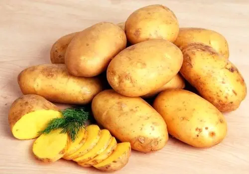 سیب‌زمینی؛ غذای ساده‌ای برای آرامش معده، کنترل قند خون و کمک به کاهش وزن!