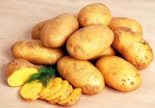 سیب‌زمینی؛ غذای ساده‌ای برای آرامش معده، کنترل قند خون و کمک به کاهش وزن!