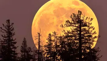 ماه، این بار بزرگ‌تر از همیشه؛ چهارشنبه شب را از دست ندهید