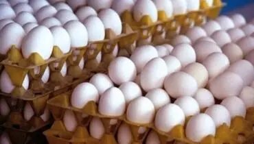 قیمت واقعی هر شانه تخم‌مرغ فله برای مصرف‌کننده اعلام شد