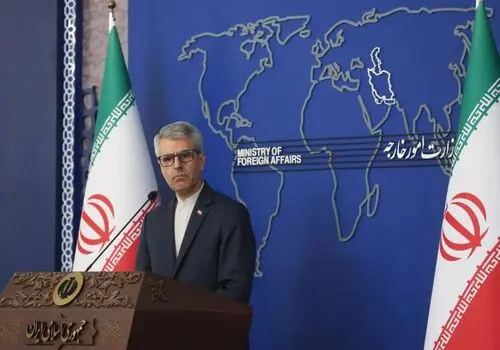 بقائی: اروپا در برابر جنایات علیه ایران سکوت کرده است