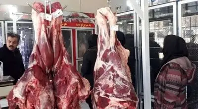 قیمت گوشت گوساله و گوسفند امروز شنبه ۱۷ مرداد ۱۴۰۵ +جدول