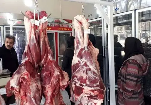 قیمت گوشت گوساله و گوسفند امروز شنبه ۱۷ مرداد ۱۴۰۵ +جدول