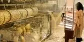 قیمت طلا و سکه امروز چهارشنبه 24تیر/ افزایش همه قیمت ها + جدول و جزئیات