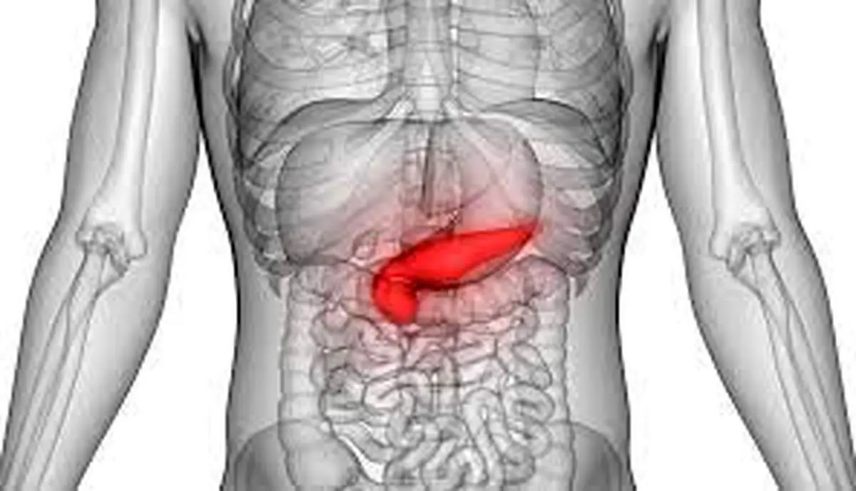 
۷ علت و روش درمان درد بالای شکم (سر دل) نشانه چیست؟ 
