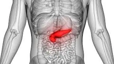 
۷ علت و روش درمان درد بالای شکم (سر دل) نشانه چیست؟ 
