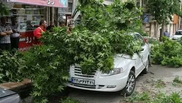 طوفان تندری در راه تهران