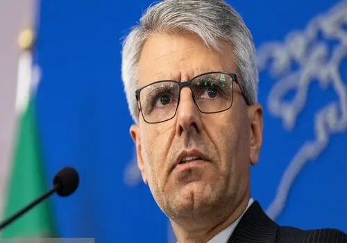 بقائی: اروپا در برابر جنایات علیه ایران سکوت کرده است