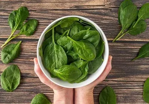 محدودیت‌های شرعی برای ورود زنان حائض به مسجد