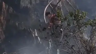 جزئیات حریق در جنگل‌های هیرکانی و اطفای آن

