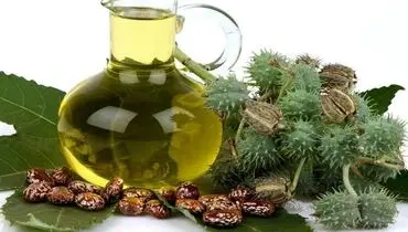 از تاثیر معجزه آسای این روغن برای پوست و مو غافل نشوید
