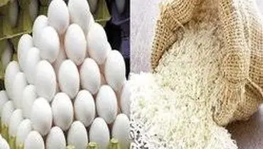 تخم‌مرغ سقوط کرد! کاهش ۱۲۰ هزار تومانی و افت قیمت برنج در بازار اعلام شد