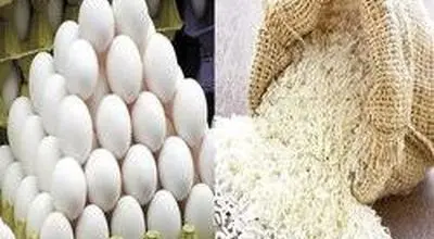 تخم‌مرغ سقوط کرد! کاهش ۱۲۰ هزار تومانی و افت قیمت برنج در بازار اعلام شد