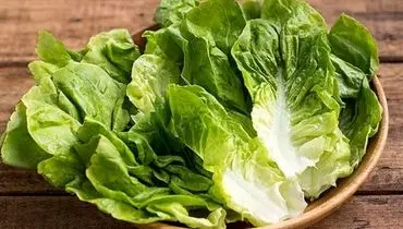 کدام بخش کاهو نیترات بیشتری دارد؟ 
