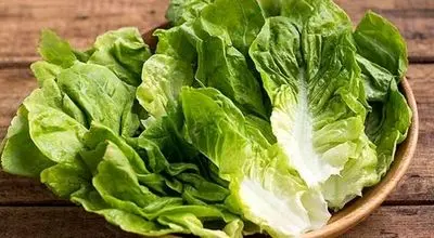 کدام بخش کاهو نیترات بیشتری دارد؟ 
