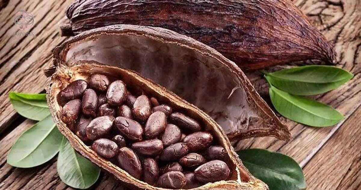 اگر زیاد مینشینید، کاکائو بخورید!