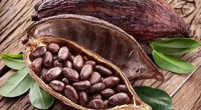 اگر زیاد مینشینید، کاکائو بخورید!