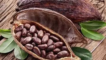 اگر زیاد می‌نشینید، کاکائو بخورید!
