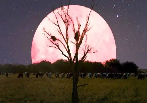 تصاویر شگفت‌انگیز از ماه صورتی در آسمان شب
