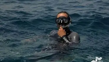 «آخرین کوسه نهنگ» مسافر یک جشنواره تازه شد