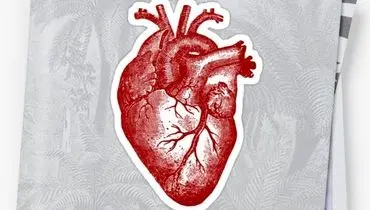 تاثیر محافظتی این کار ساده بر قلب زنان
