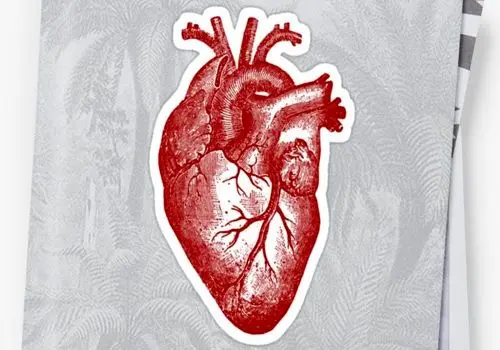 تاثیر محافظتی این کار ساده بر قلب زنان
