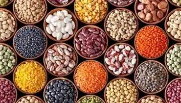 اختلاف چشمگیر قیمت کالاهای اساسی در تهران؛ گزارش بانک مرکزی از نوسانات بازار