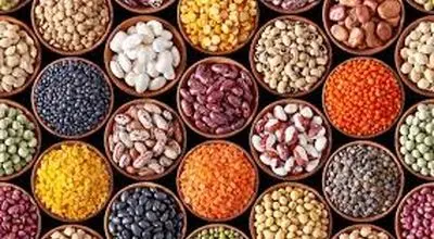 اختلاف چشمگیر قیمت کالاهای اساسی در تهران؛ گزارش بانک مرکزی از نوسانات بازار